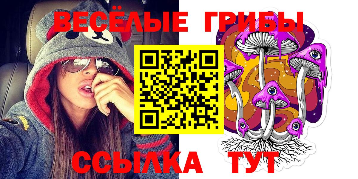 Галлюциногенные грибы Cubensis Мурманск