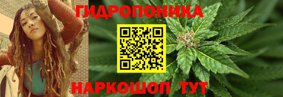 Мурманск  Бошки Шишки индика  Шишки марихуана Bruce Banner  Вход с VPN 